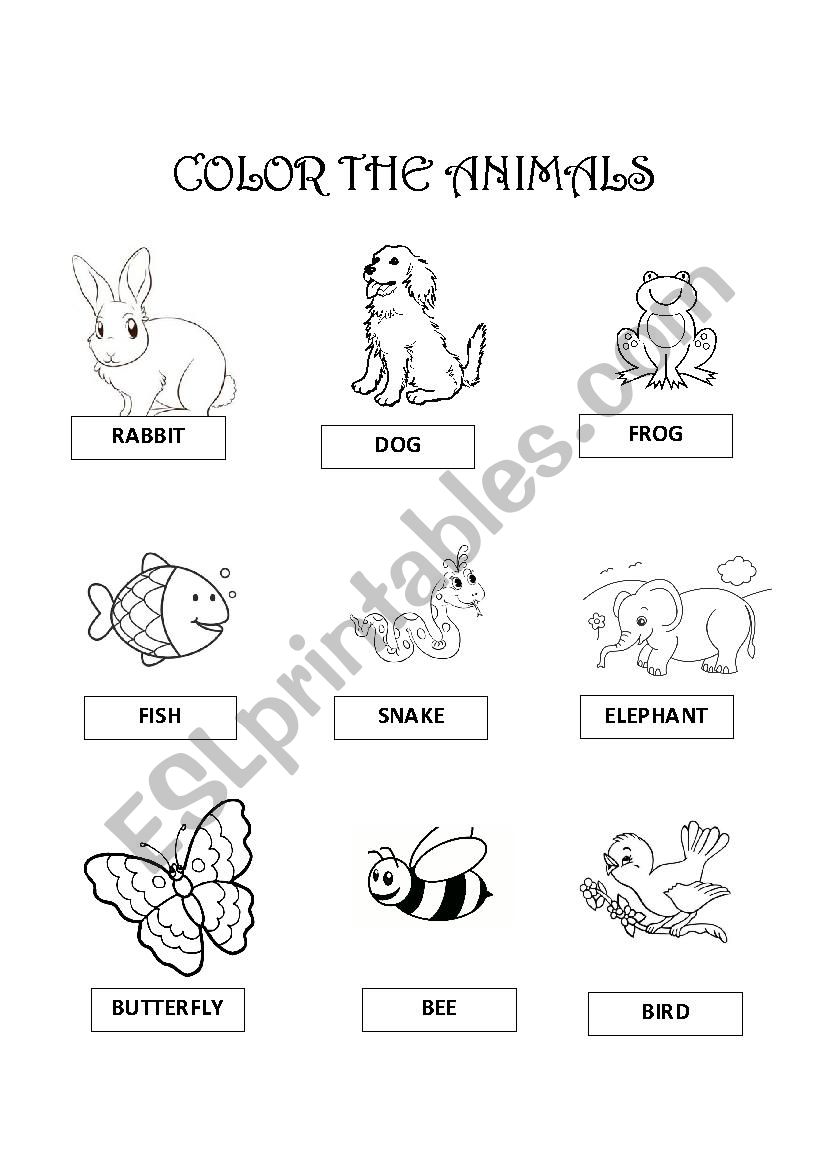 animals worksheet