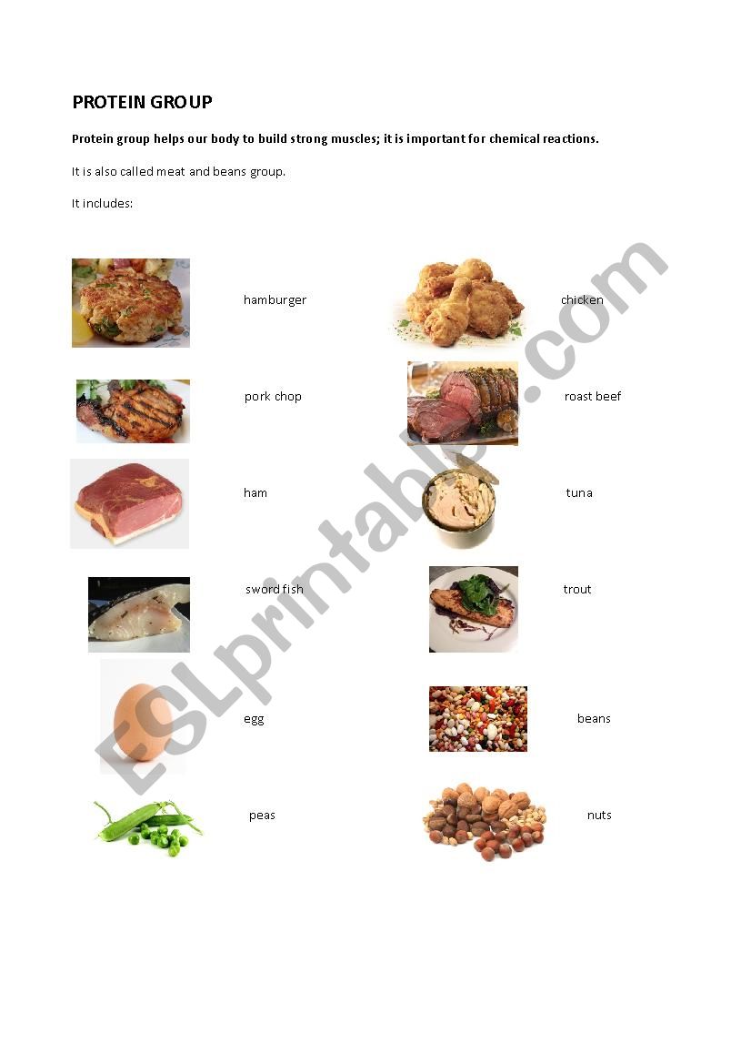 EXPLORING FOOD :PROTEINS GROUP