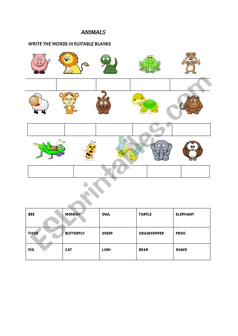 animals worksheet
