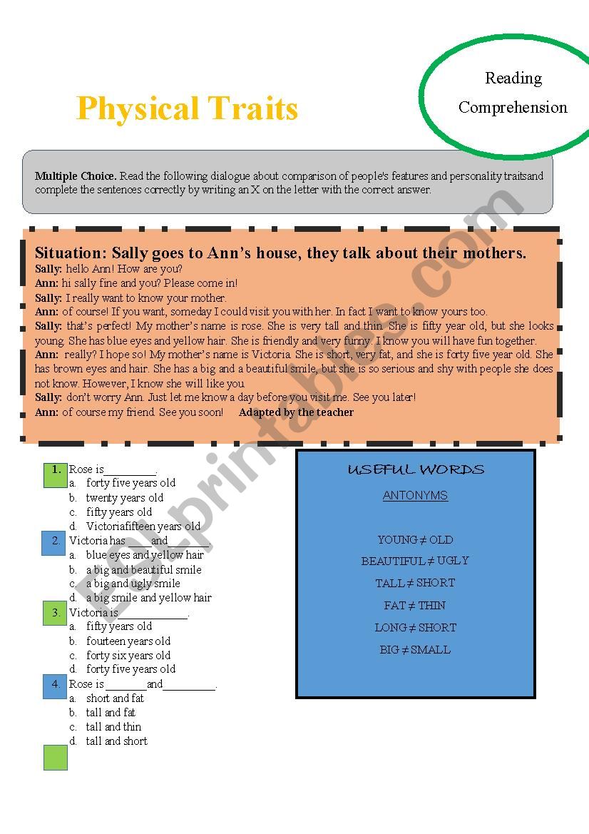 Physical Traits worksheet