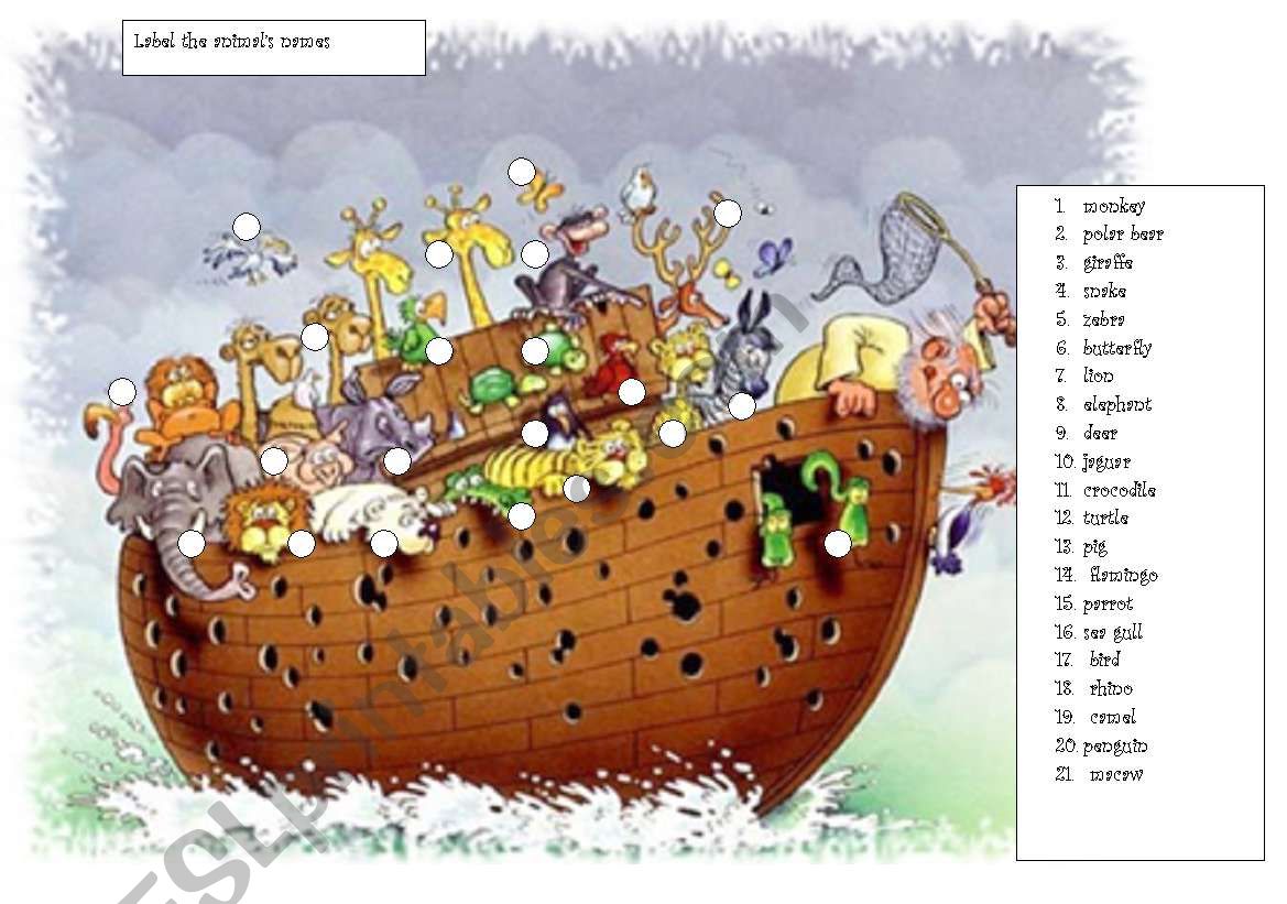 noahs ark worksheet