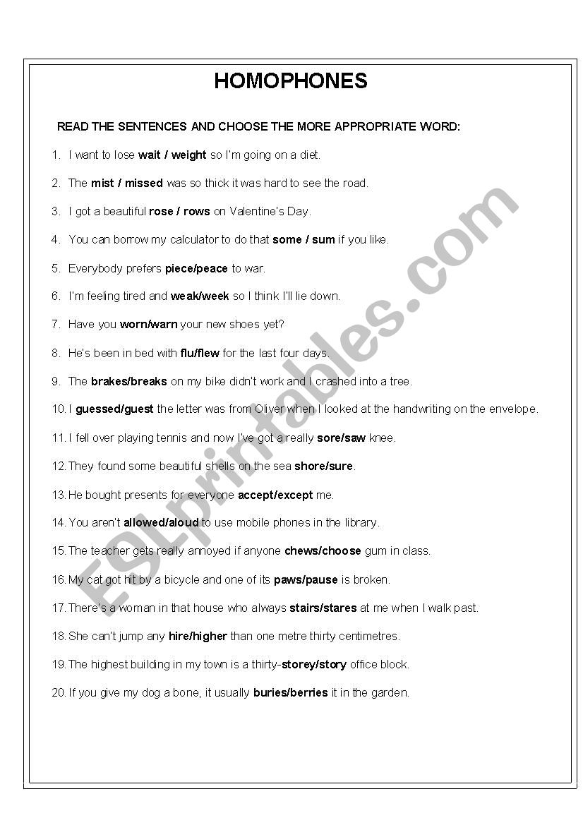 Homophones worksheet