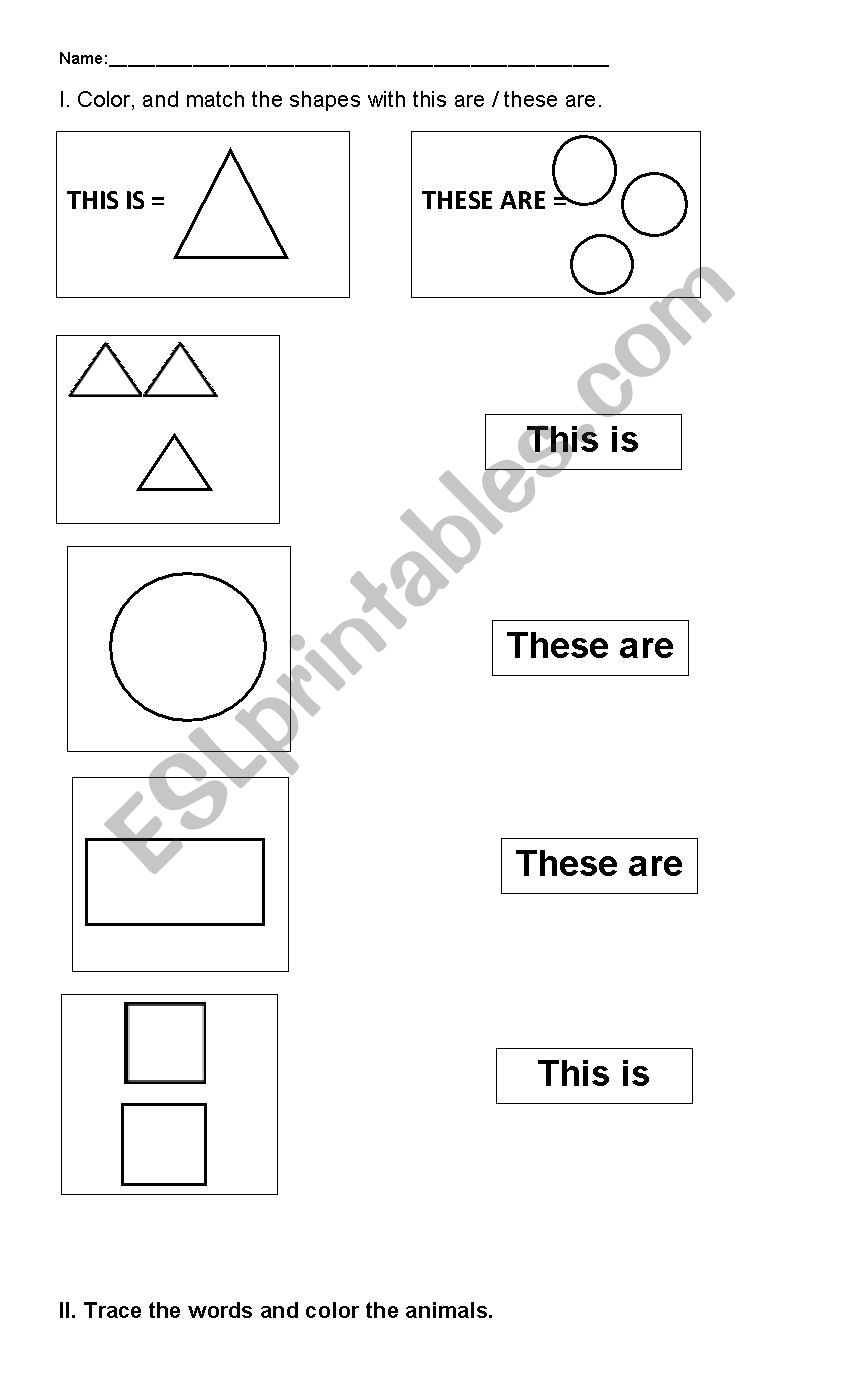 This is/ These are  worksheet