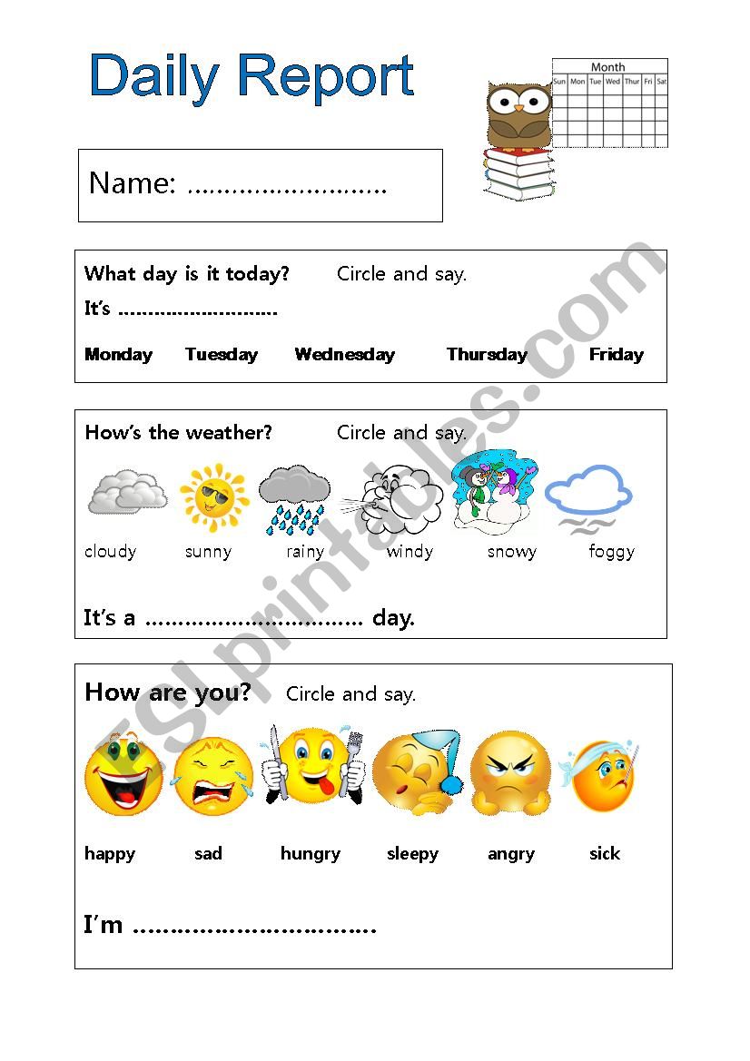 Daily Report - Young Learners worksheet