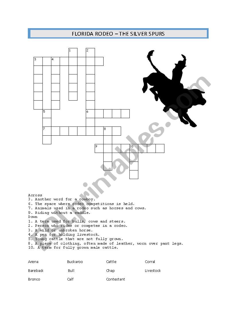 Florida Rodeo worksheet