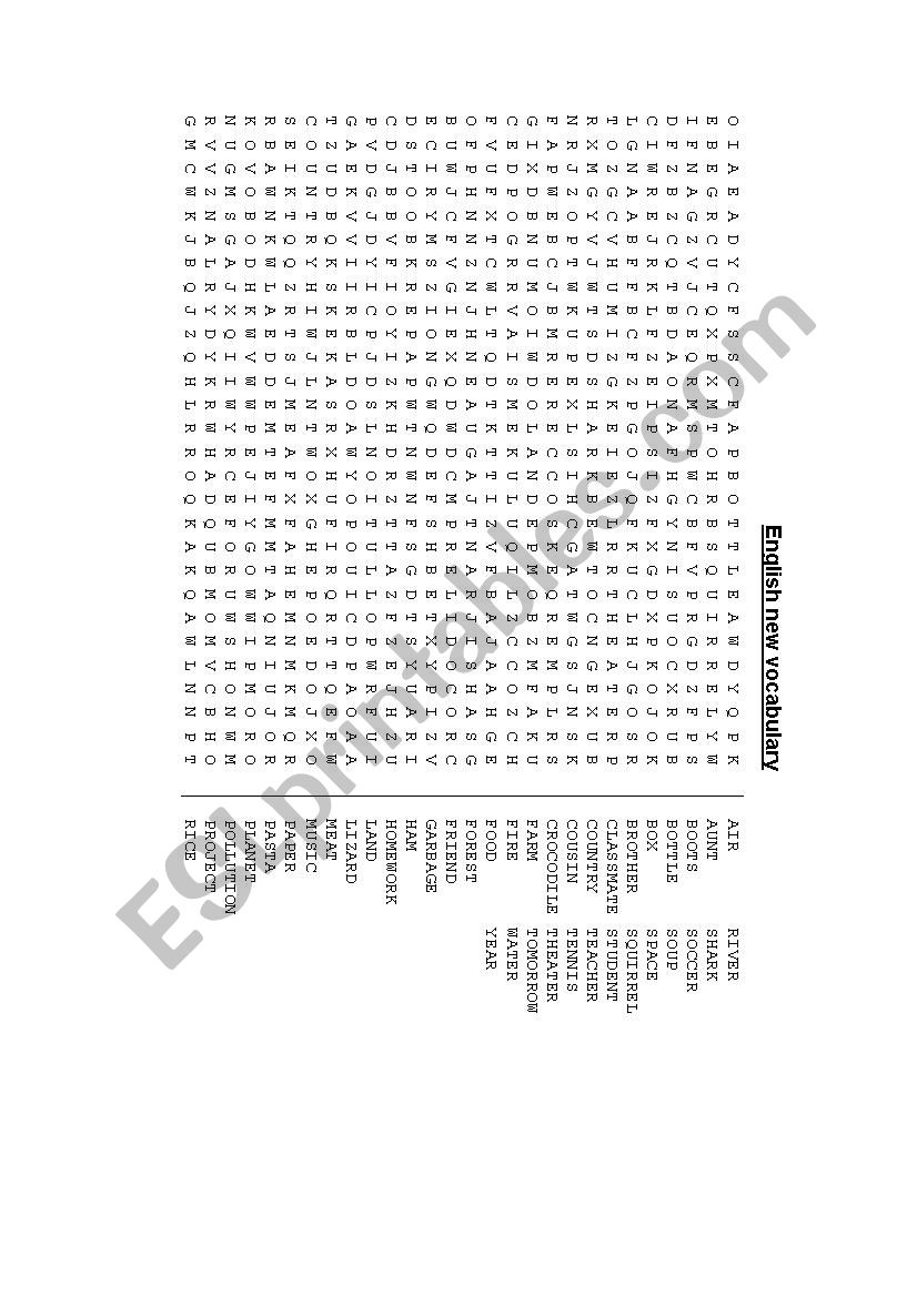 English new vocabulary worksheet