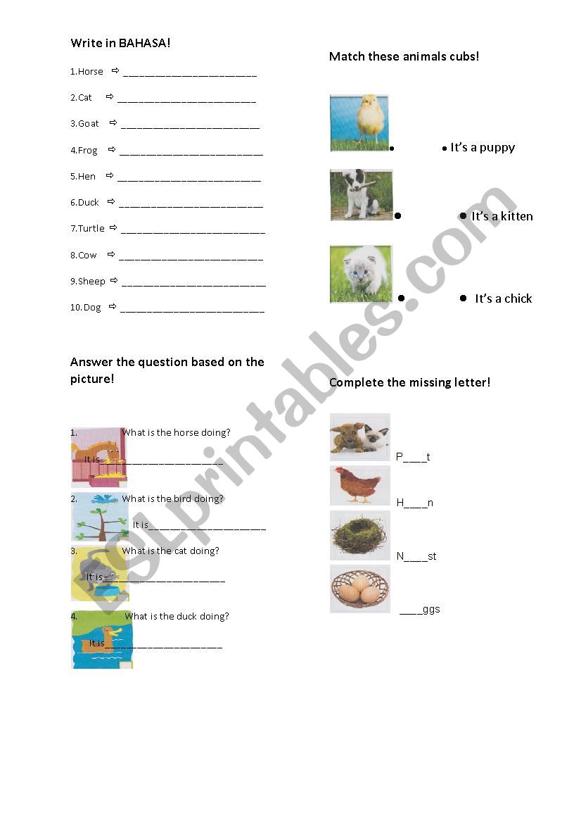 animals worksheet