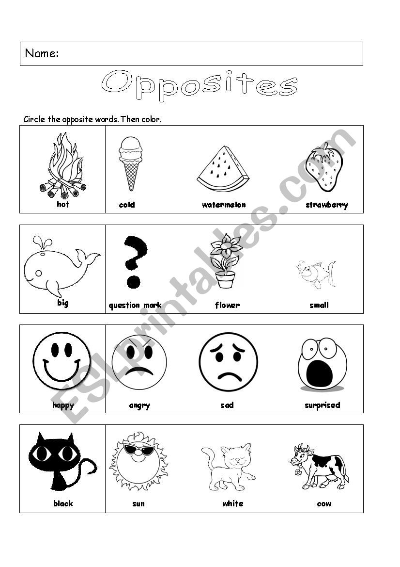 Opposites worksheet