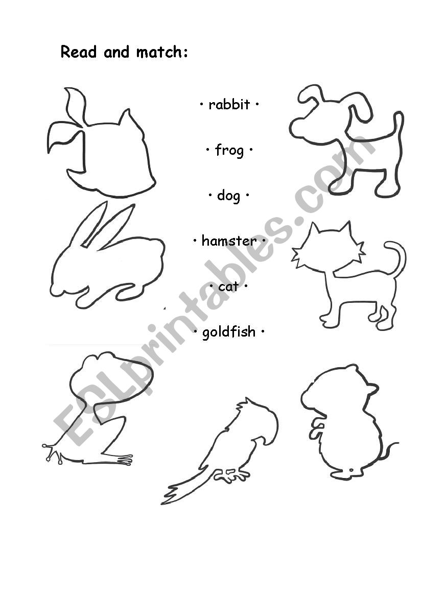 Pets worksheet