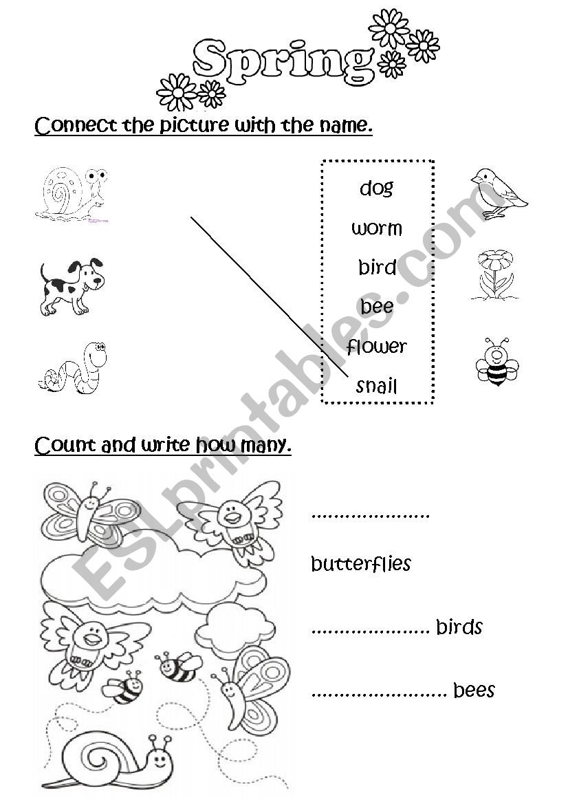 Spring Vocabulary for Juniors worksheet