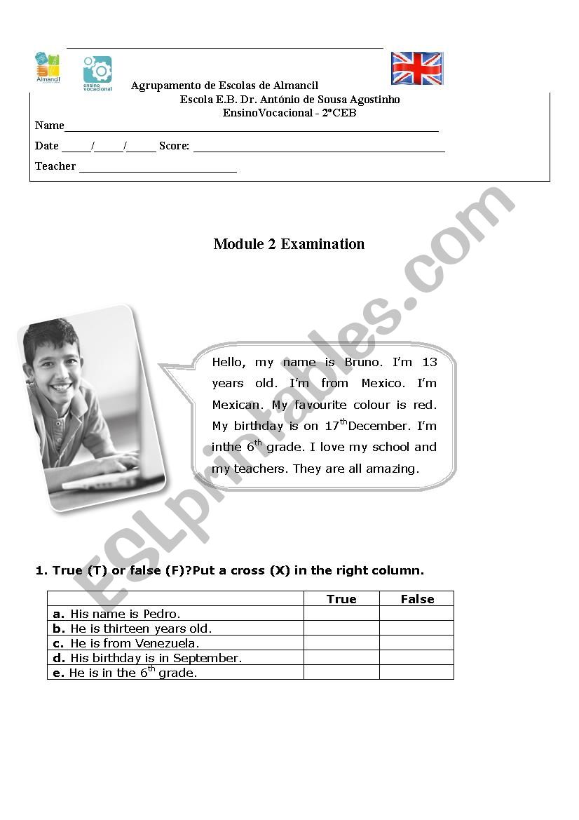 Test for begginners worksheet