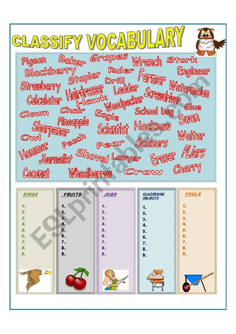 Classify  Vocabulary into categories