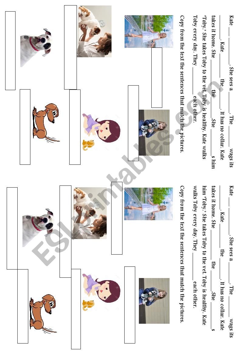 The New Pet worksheet