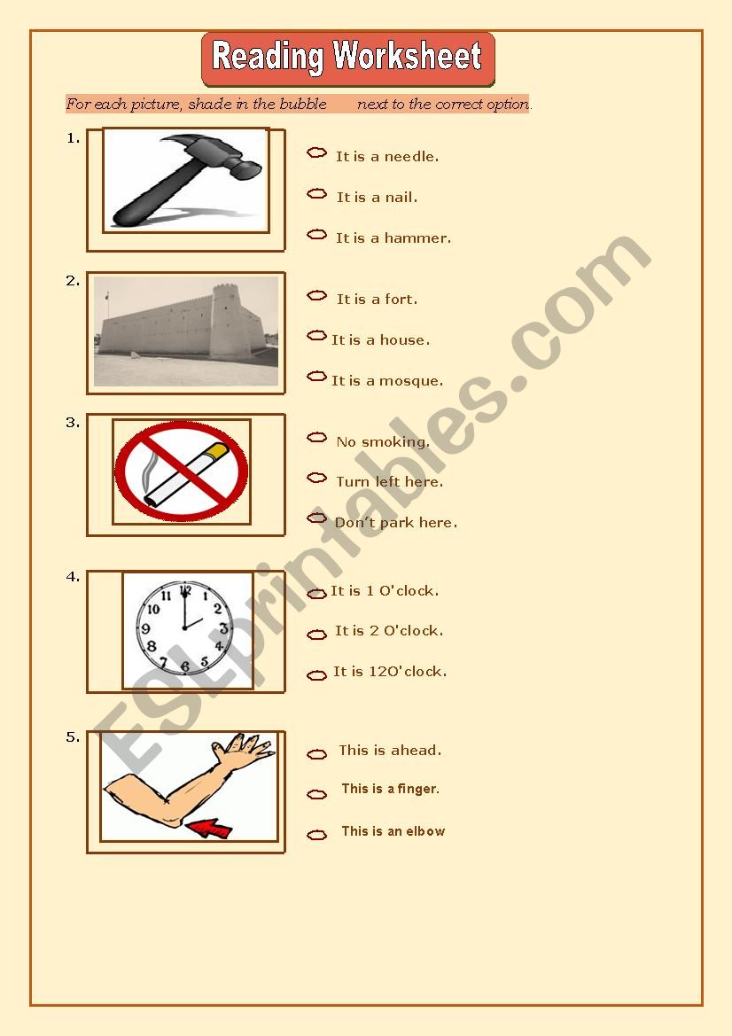 reading worksheet worksheet