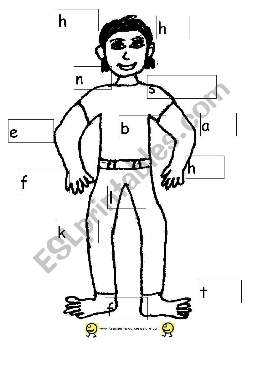 body parts worksheet