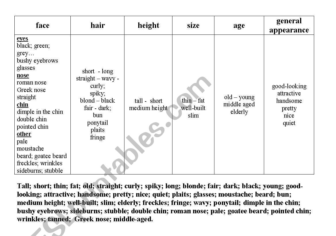 appearance vocabulary worksheet