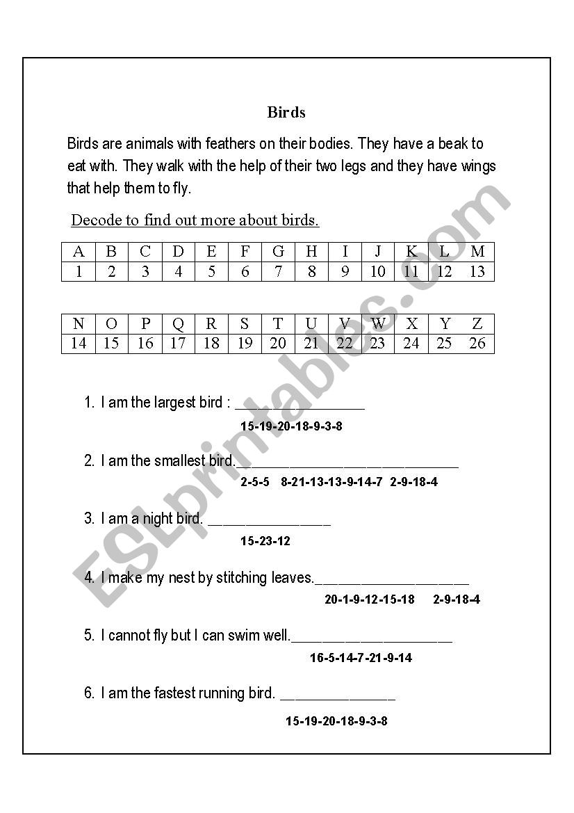 facts about birds worksheet