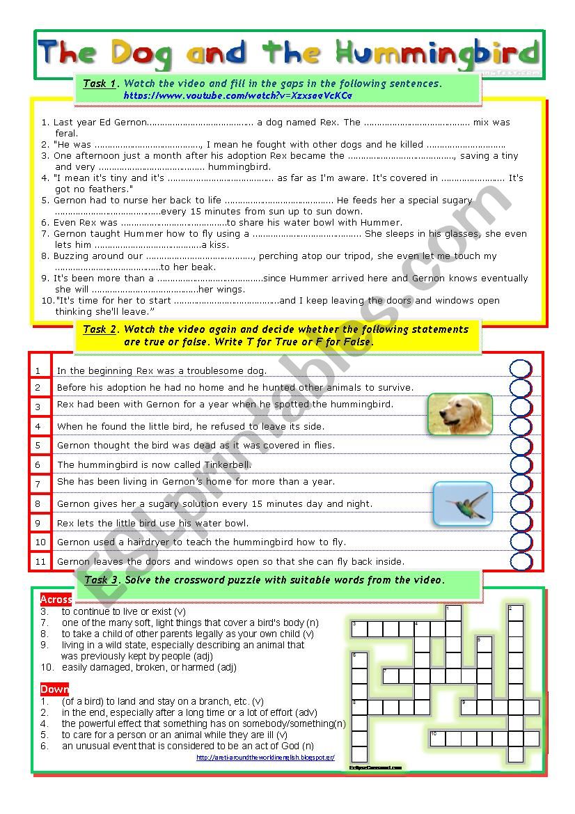 The Dog and the Hummingbird worksheet