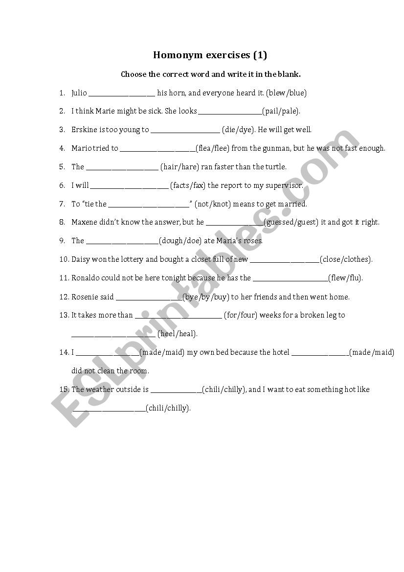 Homonym Exercises worksheet