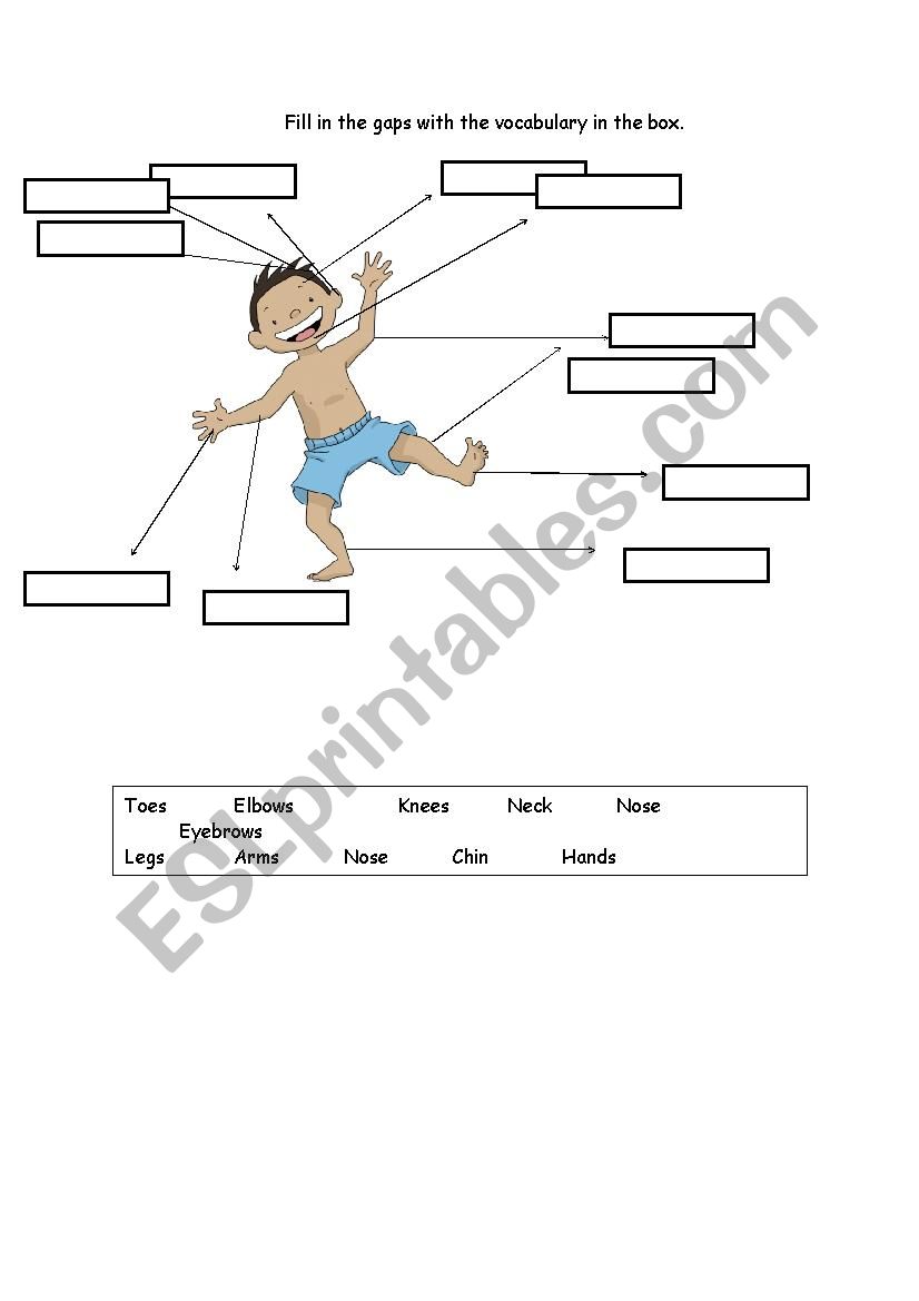 Parts of the Body worksheet