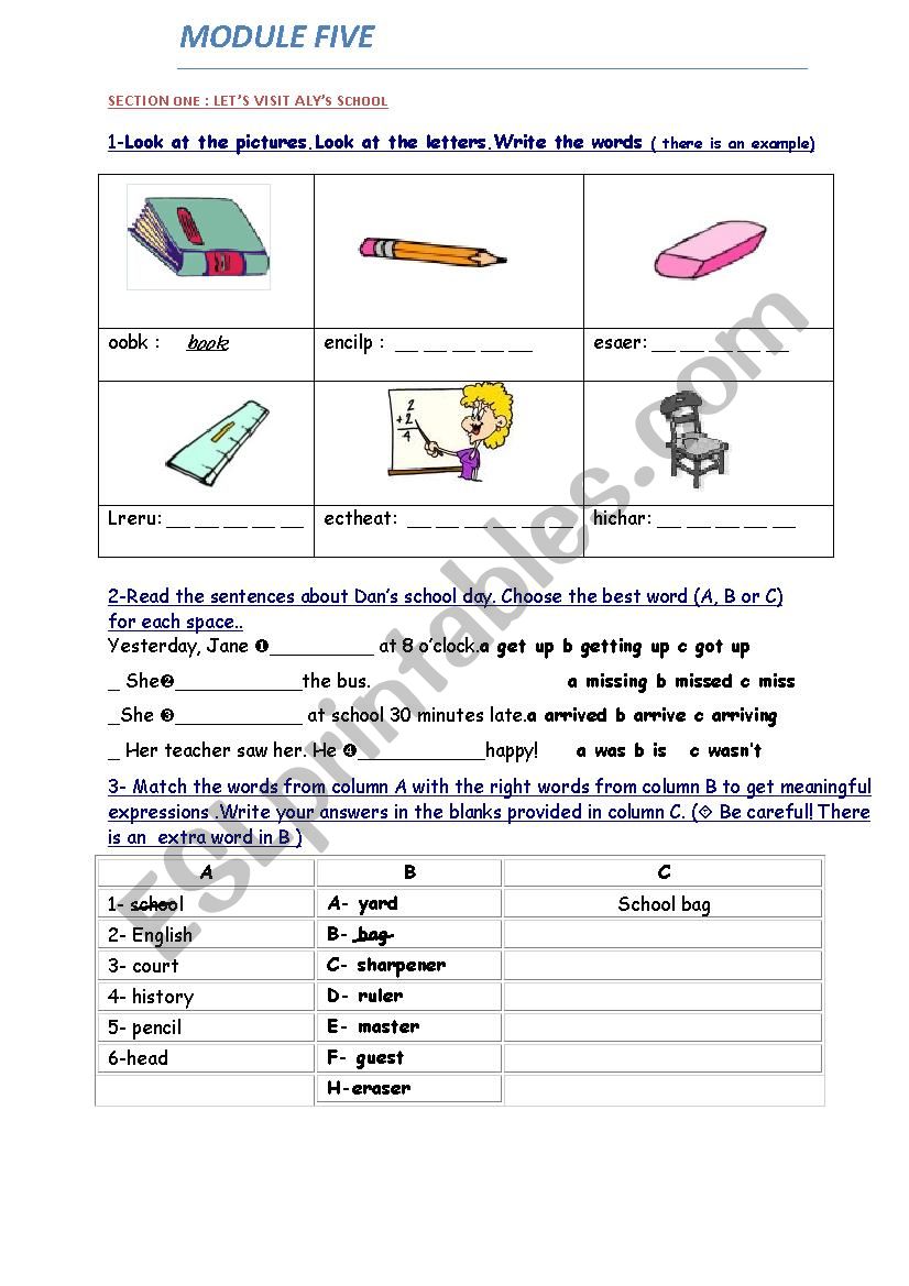 MODULE 5 REVIEW 7TH YEAR worksheet
