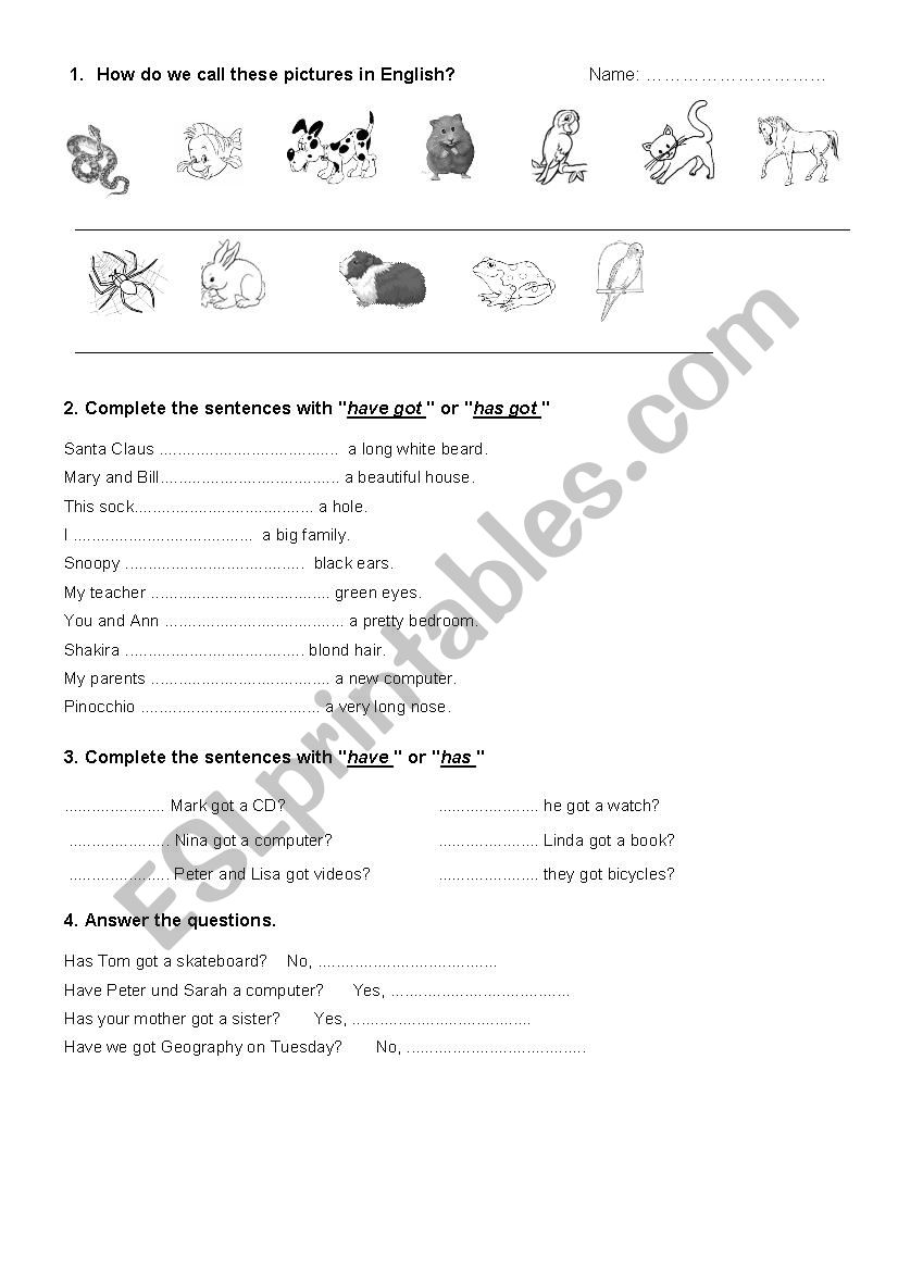 Pets worksheet