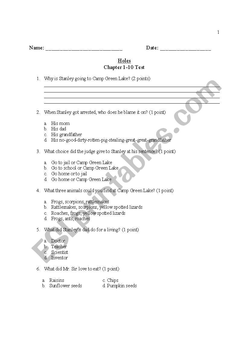 Holes Chapter 1-11 Test worksheet