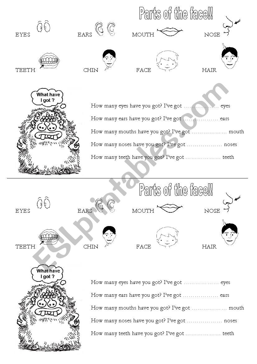 Parts of the face worksheet