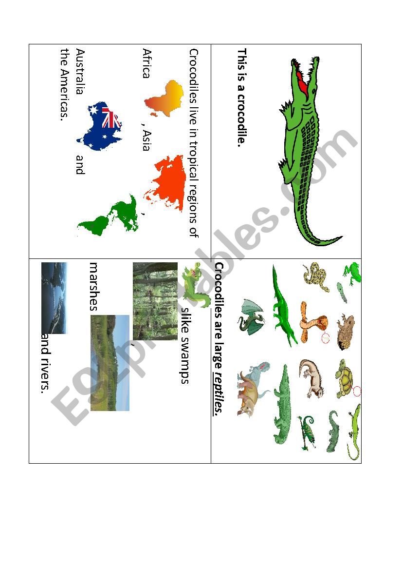 Memory game Part 1 (CROCODILES)