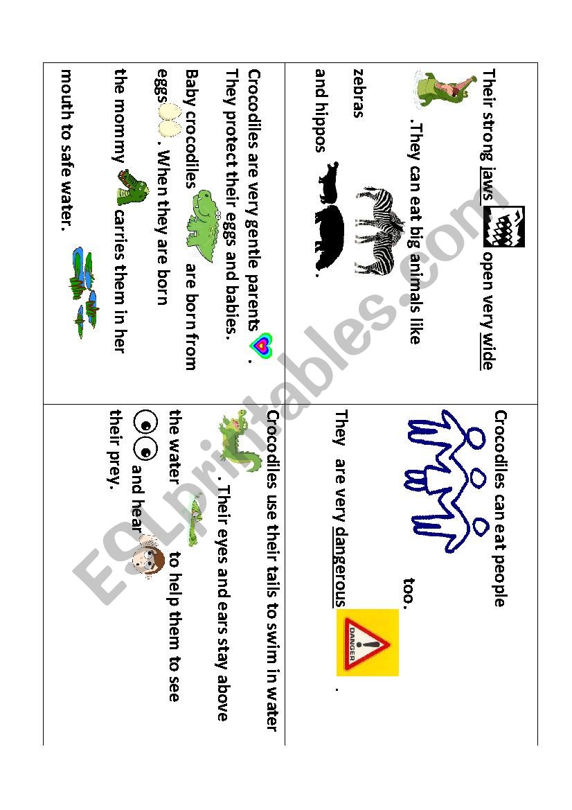 Memory game Part 3 (CROCODILES)