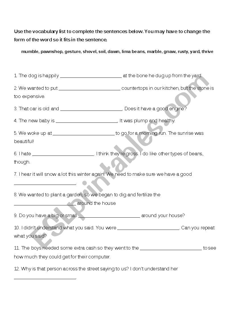 Vocabulary Practice (Kim and Gonzalo)