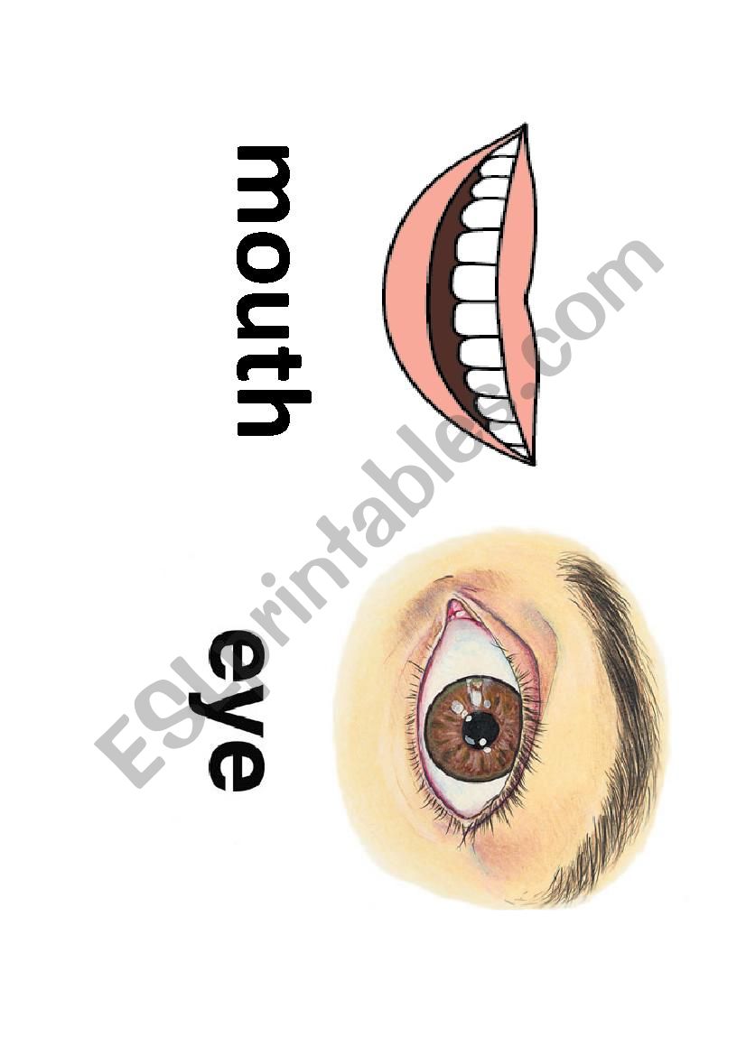 english-my-face-vocabulary-esl-worksheet-by-bokuranosora