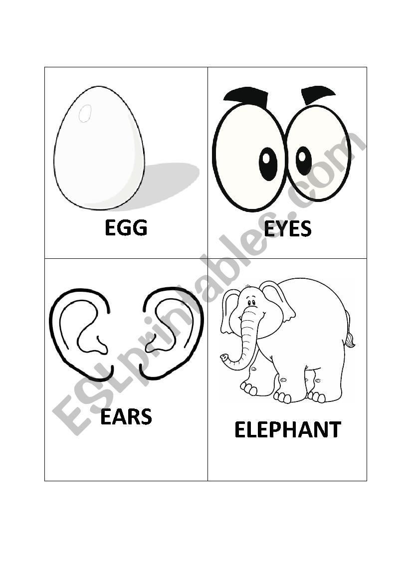 E flash-cards worksheet