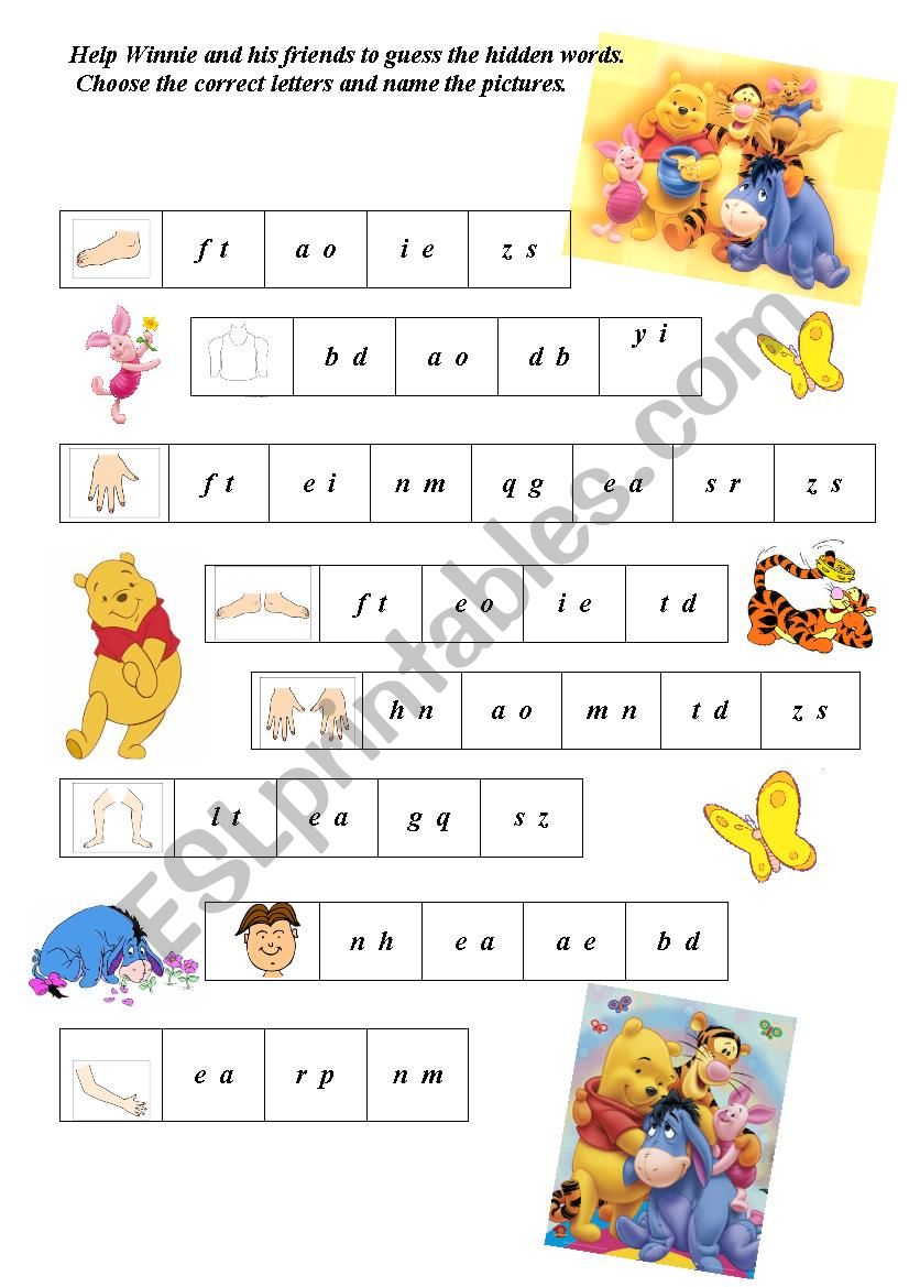 parts of the body worksheet