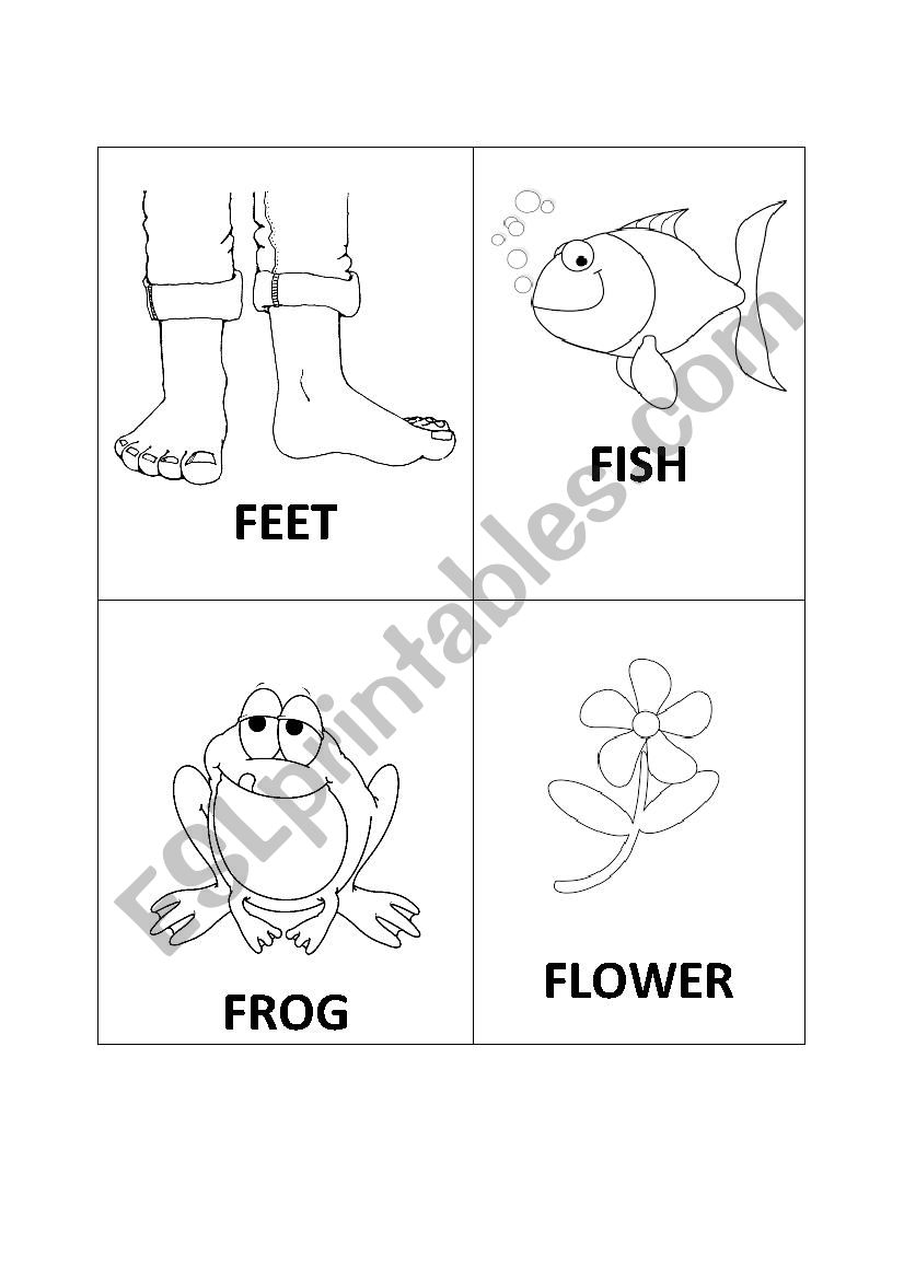 F flash-cards worksheet