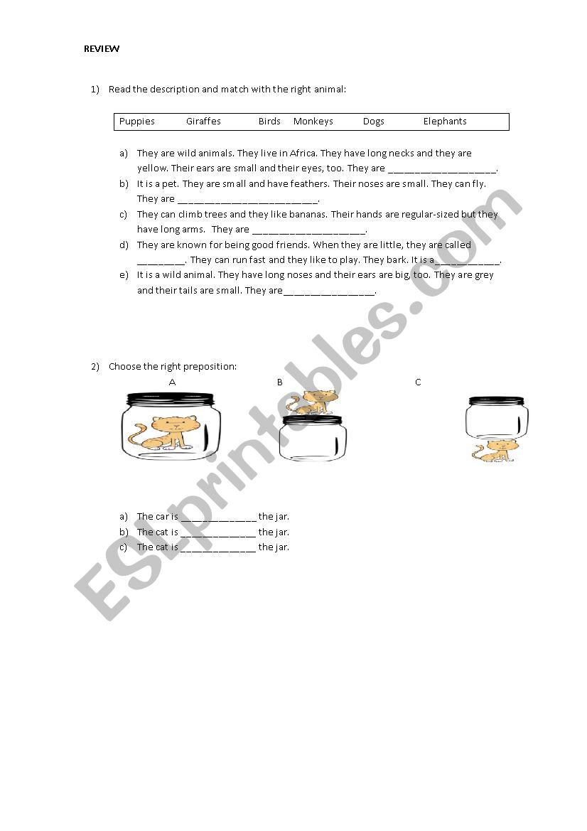 Animals and Prepositions review