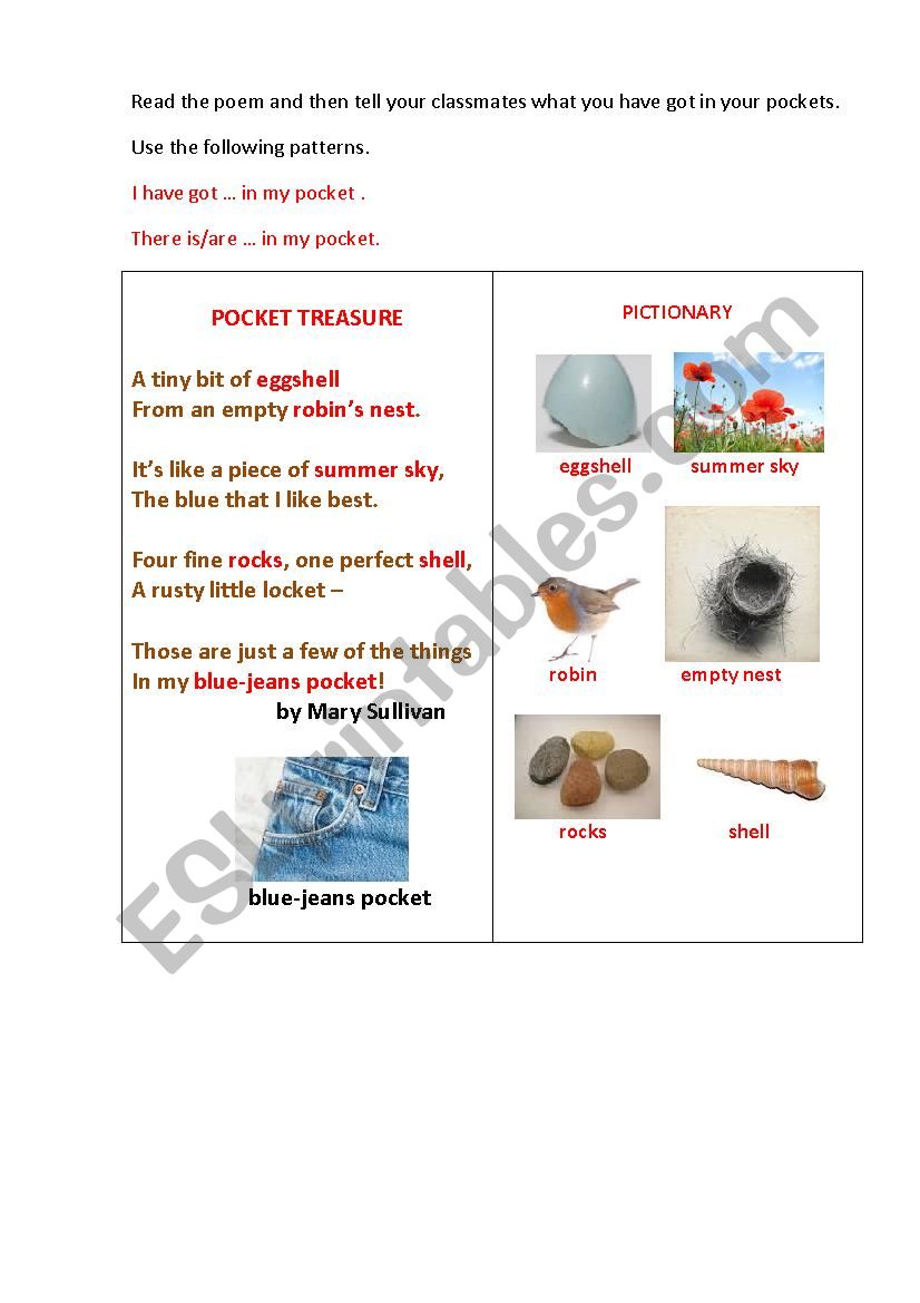 POCKET TREASURE worksheet