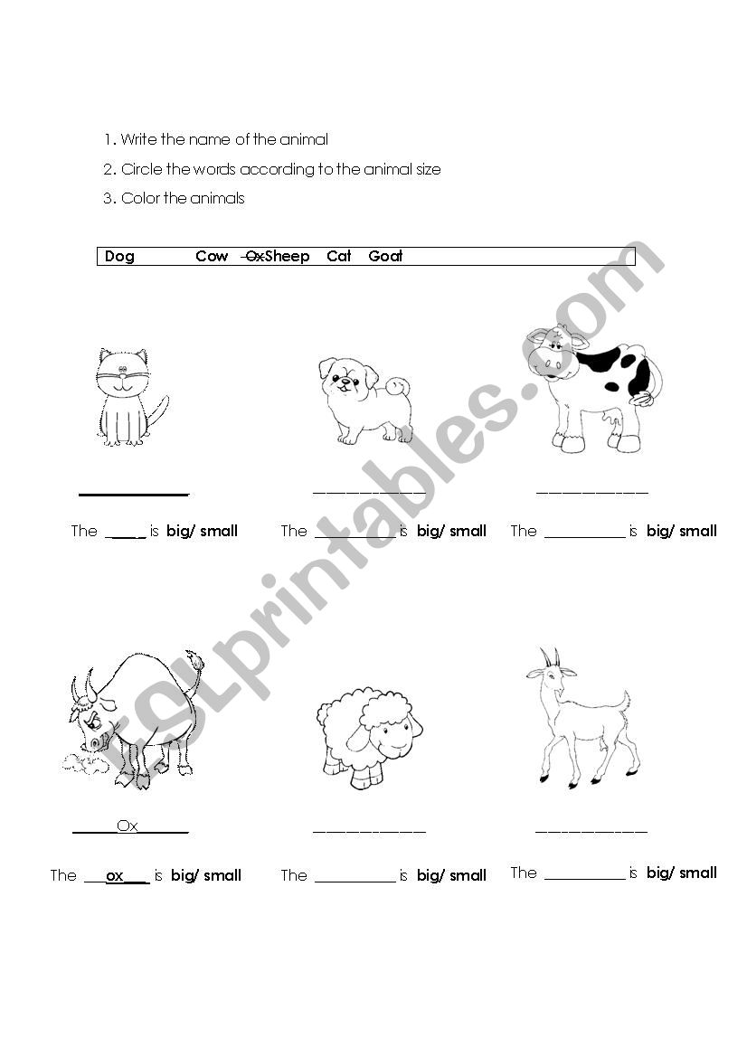 Describing animals worksheet