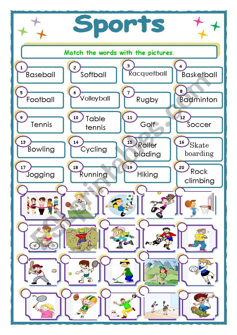 Sports worksheet