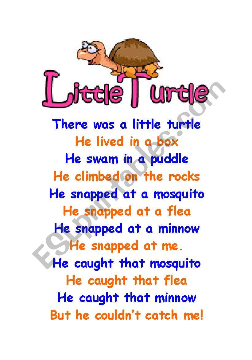 the little turtle worksheet
