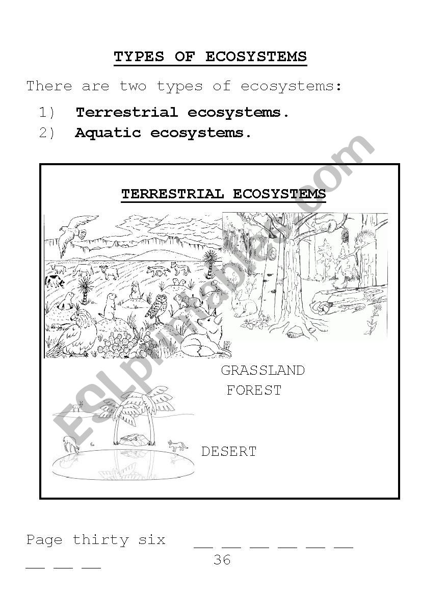 types of ecosystems and food chains