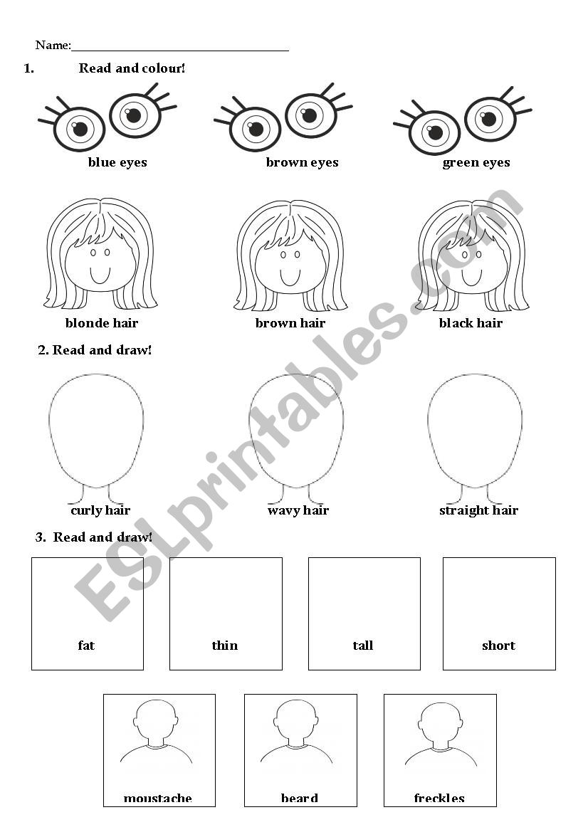 physical appearances worksheet