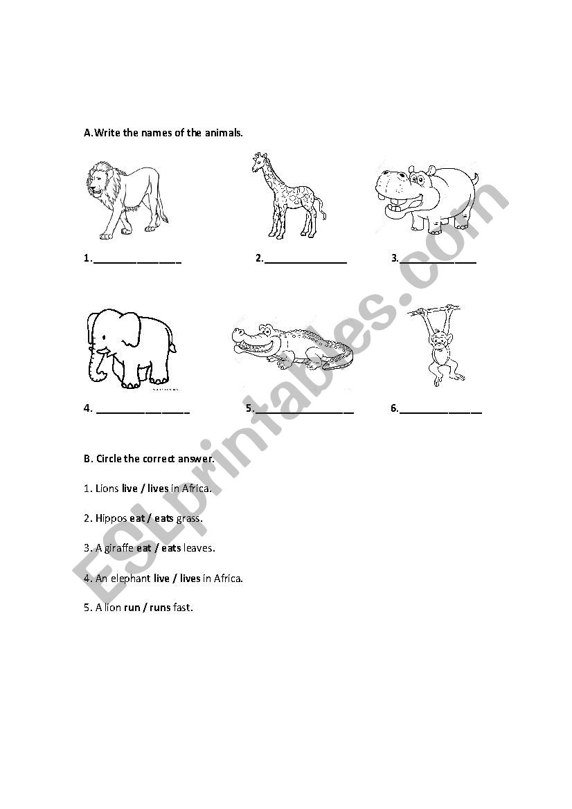 african animals worksheet