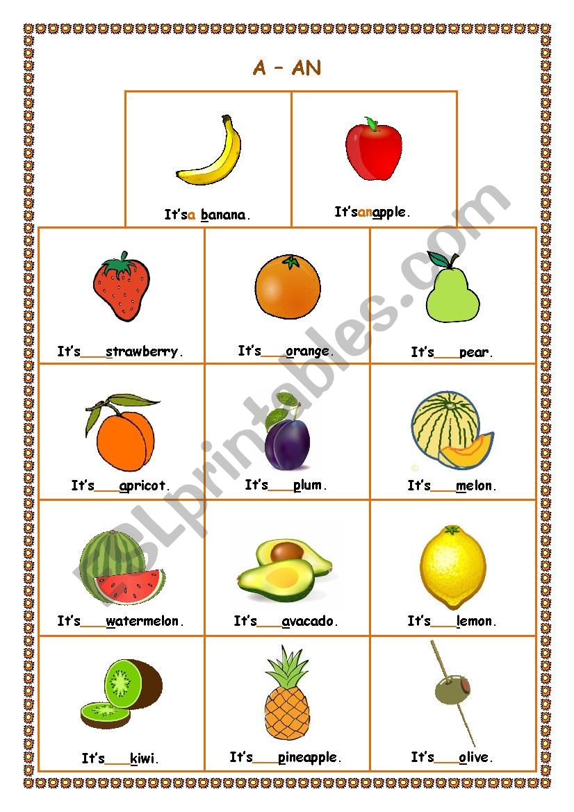 a - an fruit worksheet