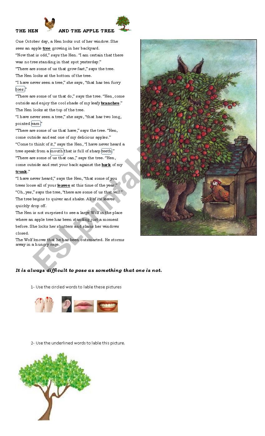 THE HEN AND THE APPLE TREE worksheet