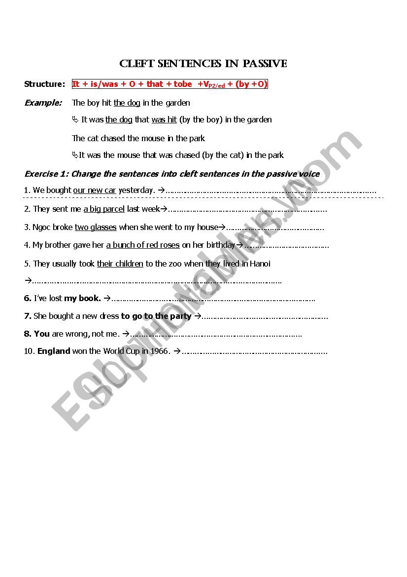 Cleft sentences in passive worksheet