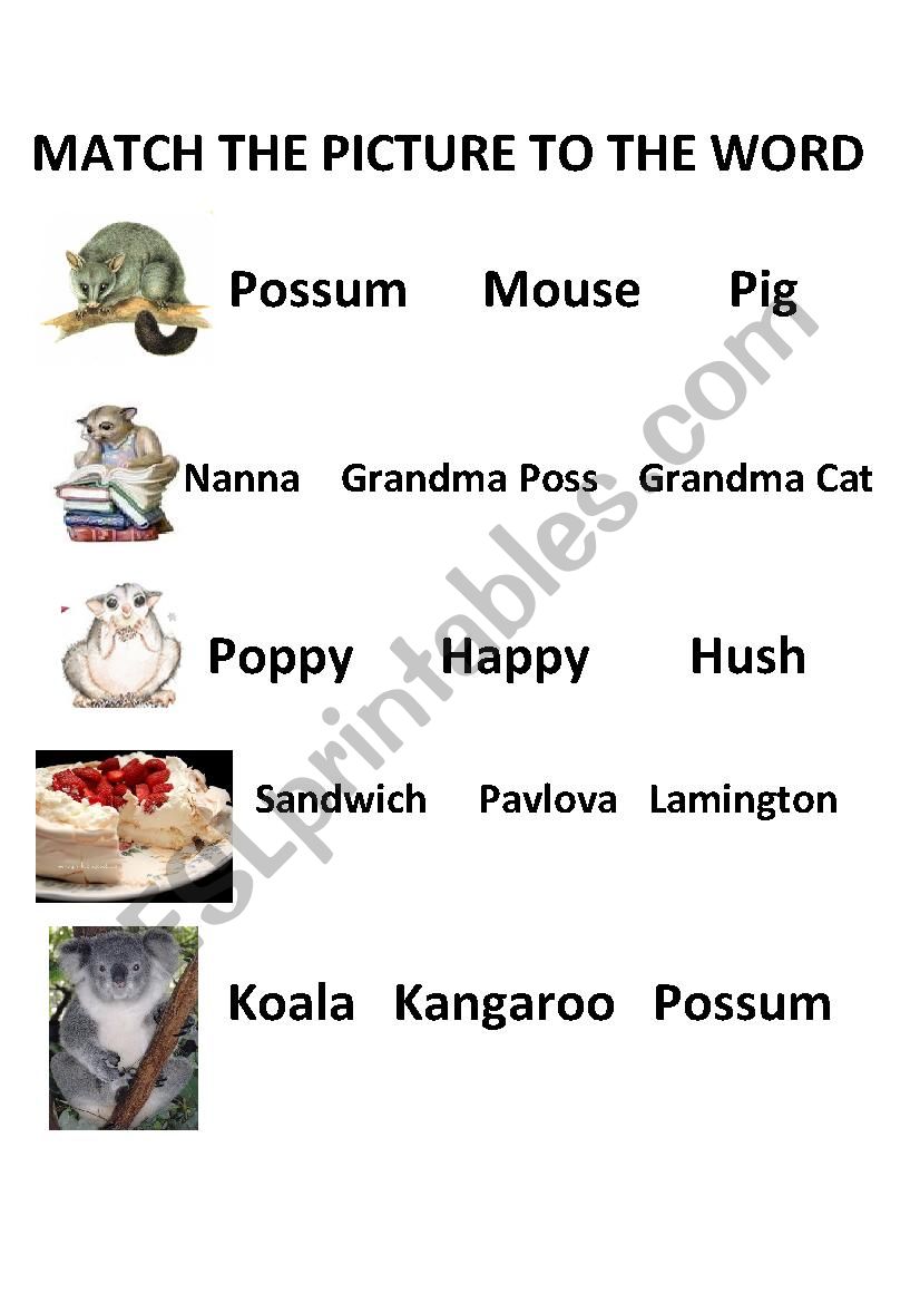 Possum Magic worksheet