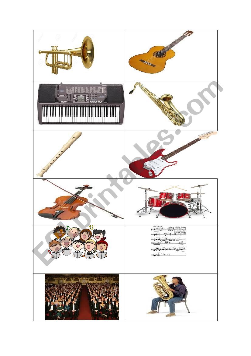 Musical Instruments and Classical Concerts - MEMORIZE