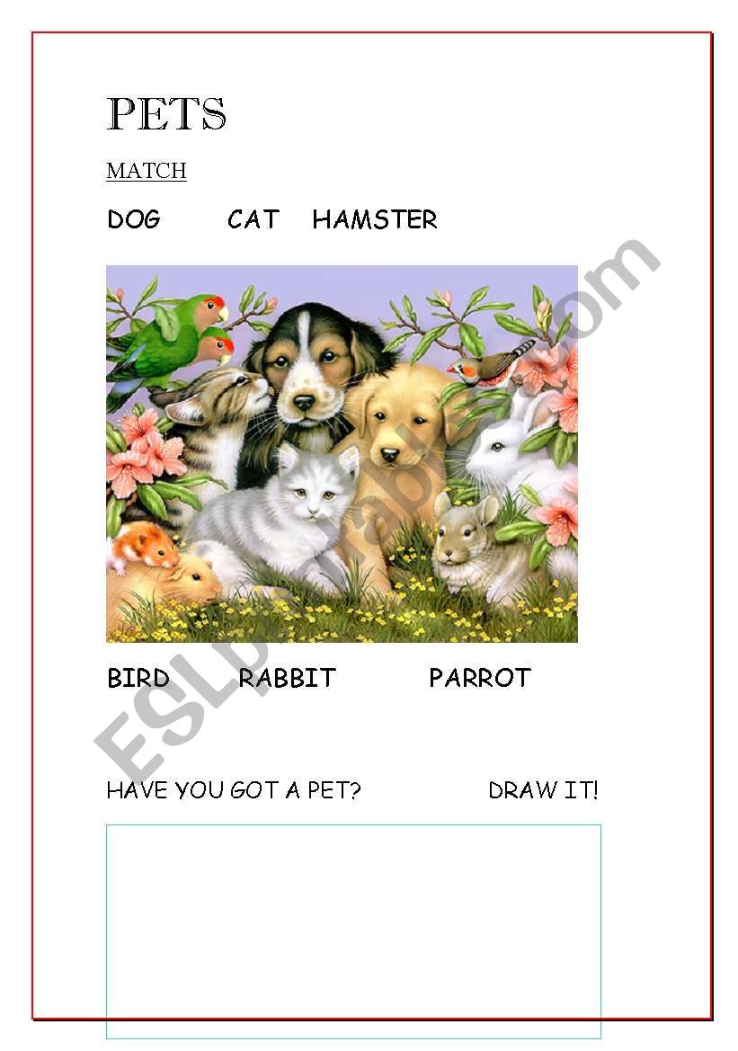 PETS match and draw worksheet