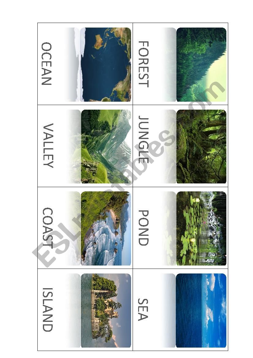 LANDSCAPES worksheet